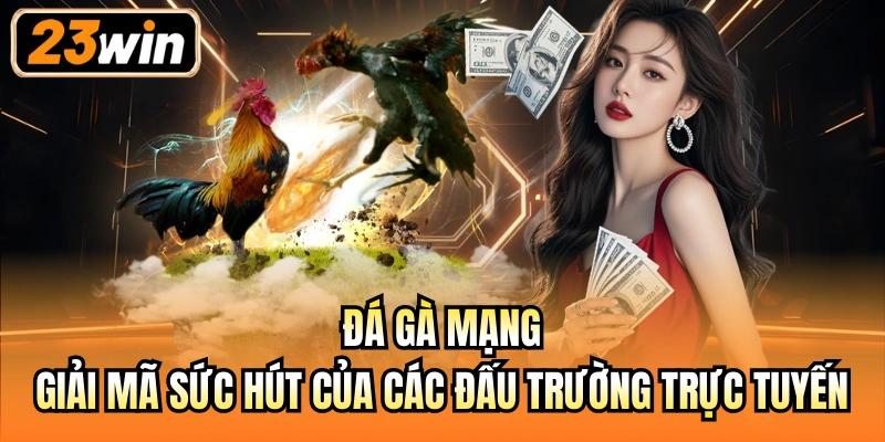 Đá gà mạng