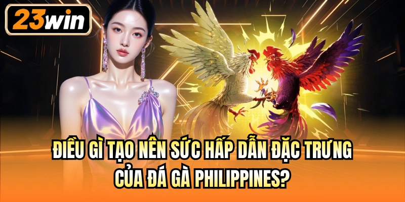 Điều gì tạo nên sức hấp dẫn đặc trưng của đá gà Philippines?