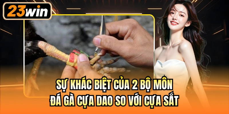 Sự khác biệt của 2 bộ môn đá gà cựa dao so với cựa sắt