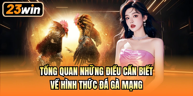 Tổng quan những điều cần biết về hình thức đá gà mạng